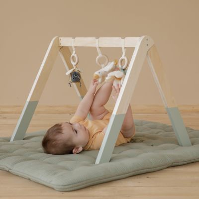 Little Dutch Babygym Little Goose