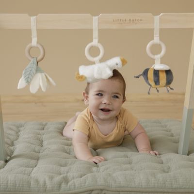 Little Dutch Babygym Little Goose