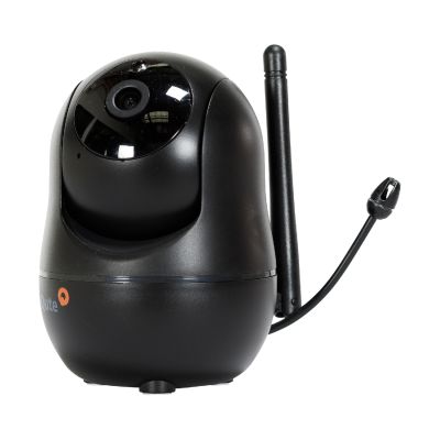 Qute Single Camera Signal